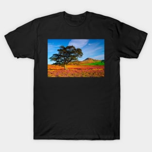 Autumn Moorland Heather on the North York Moors T-Shirt